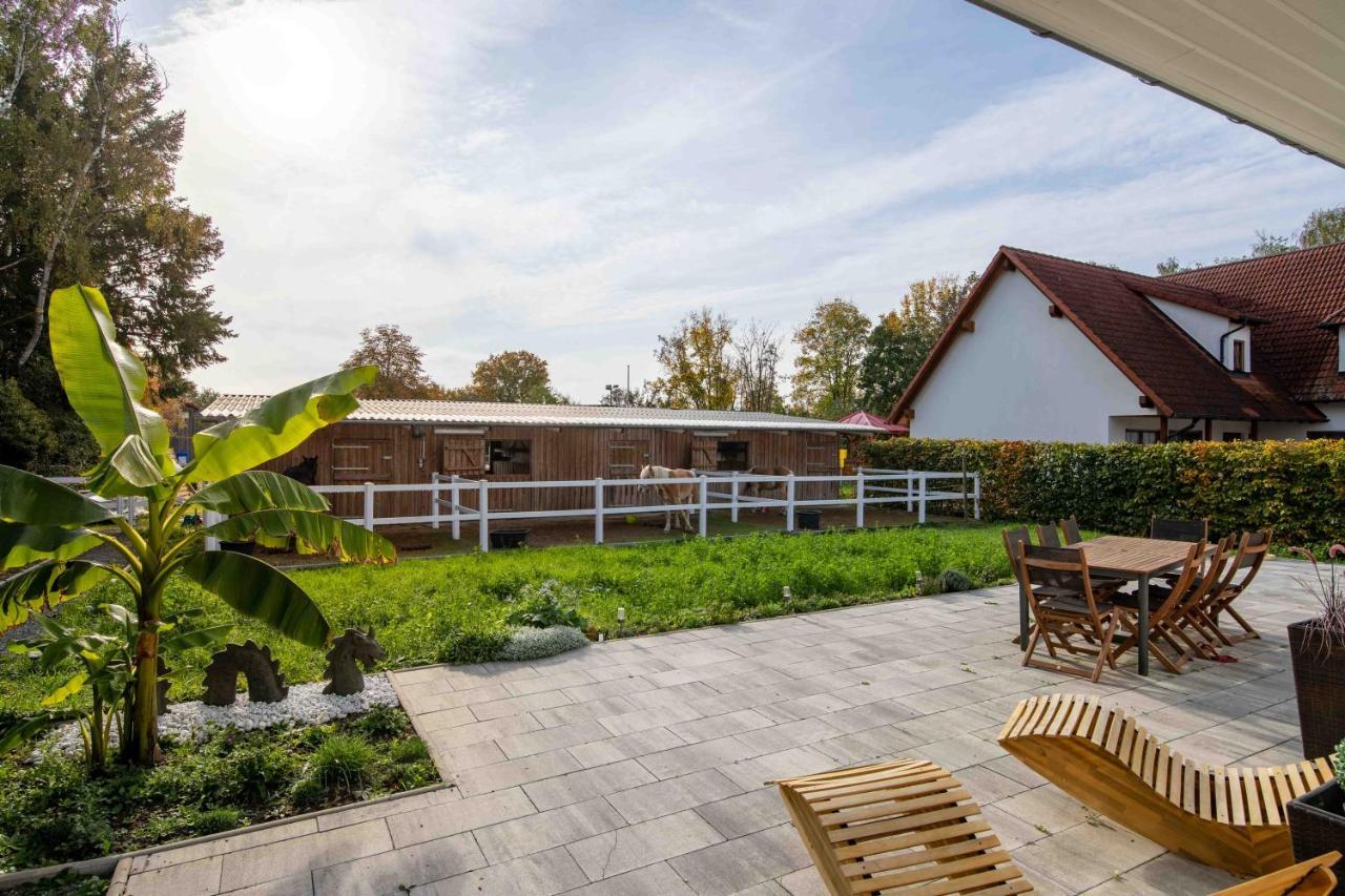 Reiterhof Kronwitter Apartment